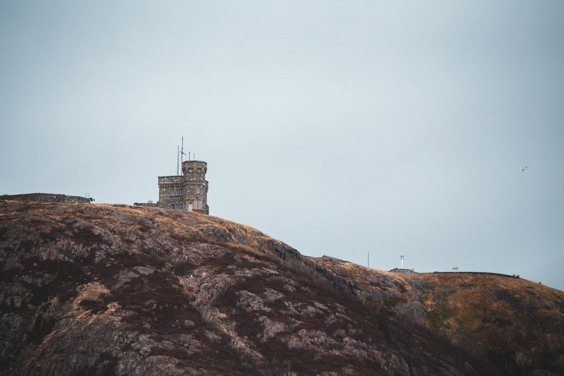 Great Kemi revival stalls again as student loans debate turns into deranged tirade | John Crace