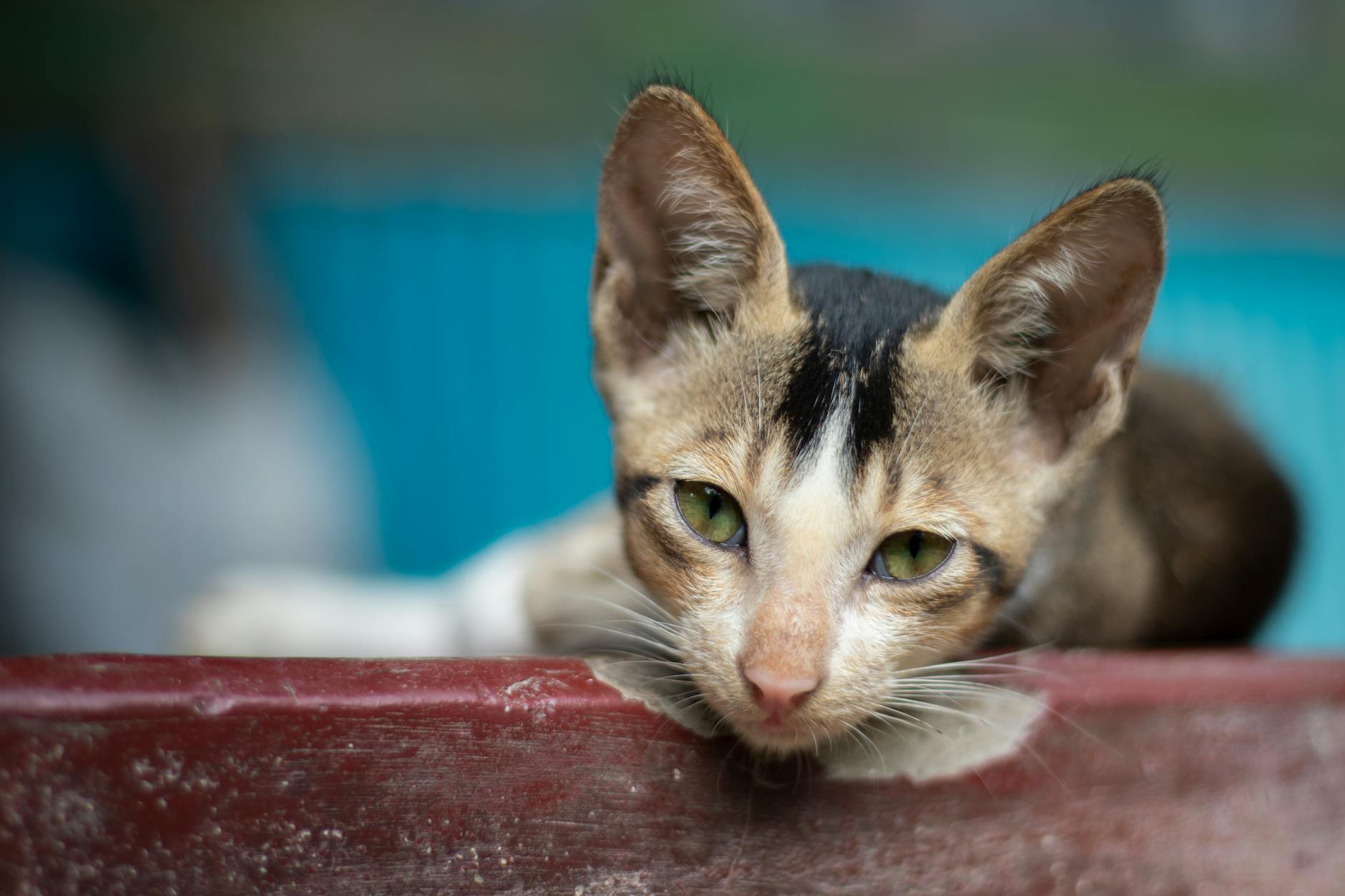 Watch: Highlights from the Baftas 2026